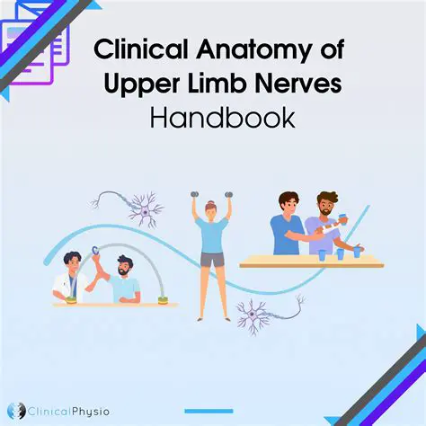 Clinical Anatomy of the Upper Limb