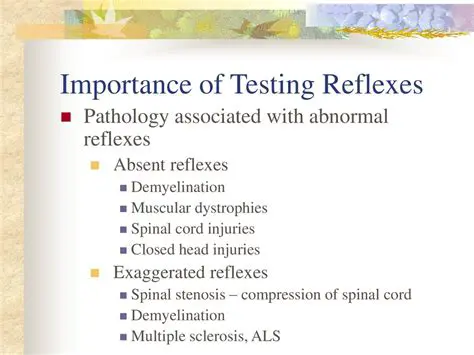 Clinical Significance of Reflexes