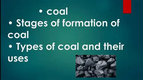 Coal Types and Their Formation Depths