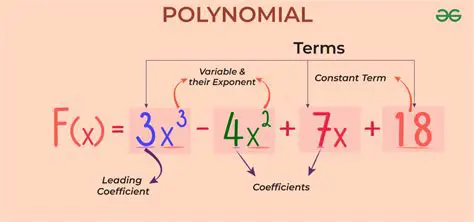 Coefficients of the Polynomial Function