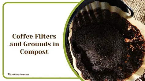 Coffee grounds and filters