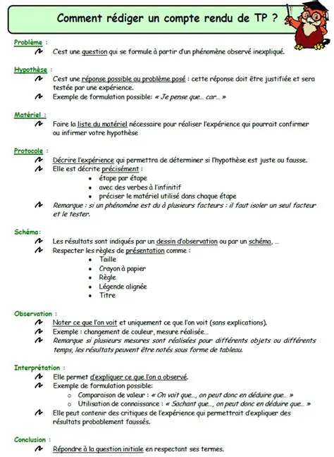 Comment Faire un Rendu Final en SVT