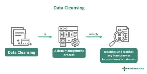 Common Issues in Data Cleaning