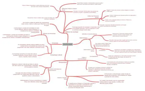 Como as Sociedades Funcionam