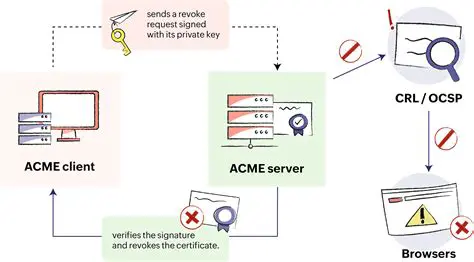 Comparing ACME Client Logs Against Certificate Transparency Logs