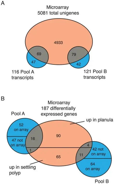 Comparing the Circumference of Pool A and Pool B