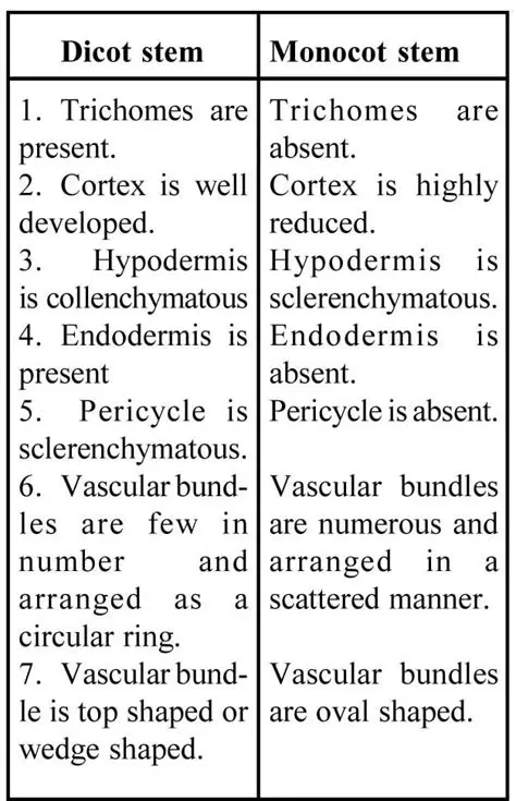 Comparing the Skeleton of Animals and the Stem of Plants