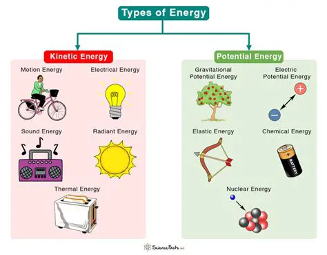 Comparison of the Energy Stored in Each Spring