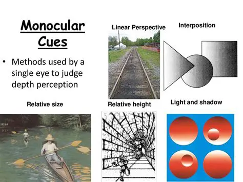 Comparison with Monocular Cues