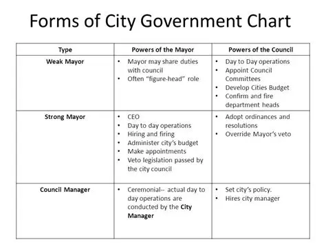Comparison with Other Forms of City Government