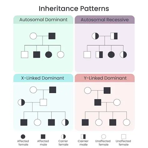Comparison with Other Inheritance Patterns
