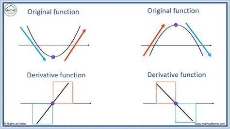 Comparison with the Original Function