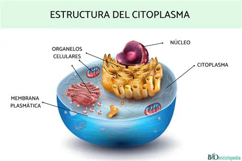 Componentes del Citoplasma