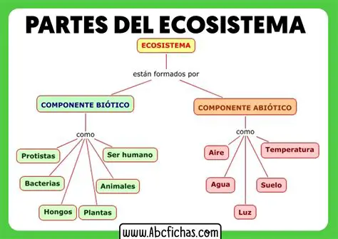 Componentes del Ecosistema
