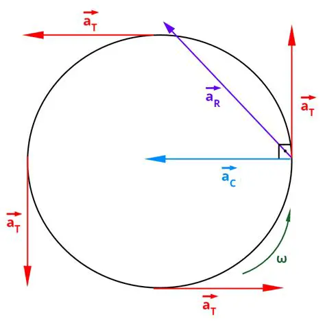 Componentes do Movimento Circular