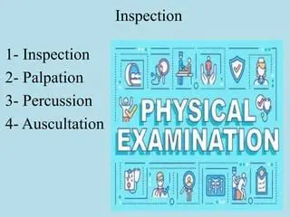 Components of a Physical Examination