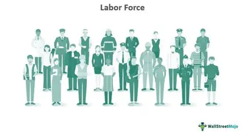 Components of the Labor Force