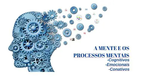 Comportamento e Processos Mentais