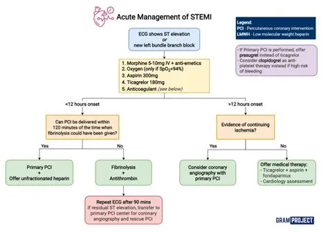 Comprehensive evaluation of STEMI patients
