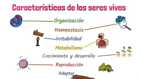 Comprender la Diversidad de la Vida