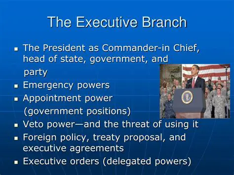 Concentrating Power in the Executive Branch