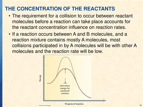 Concentration of the reactants