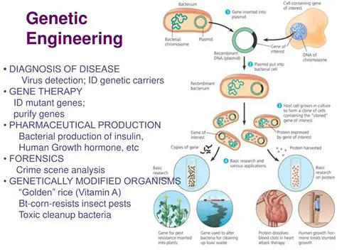 Concerns about the Use of Genetically Engineered Growth Hormones