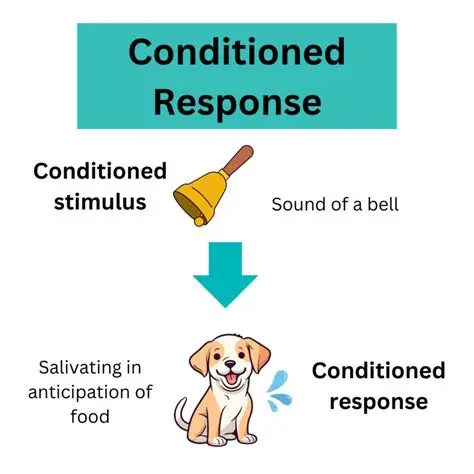 Conditioned response as unconditioned stimulus
