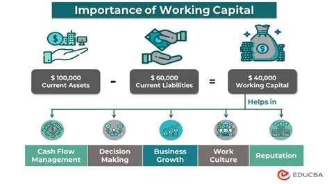 Conduct a thorough analysis of working capital needs