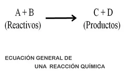 Conectar los reactivos y productos