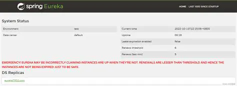 Configuring Eureka Client Properties