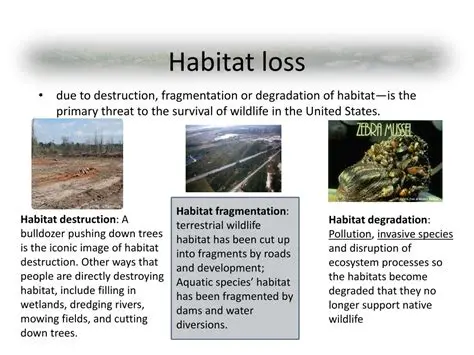 Consequences of Habitat Loss