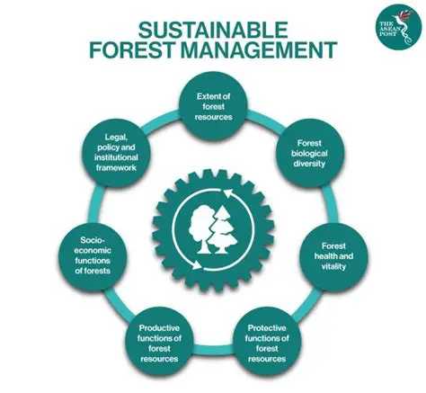 Conservation and Sustainable Forest Management