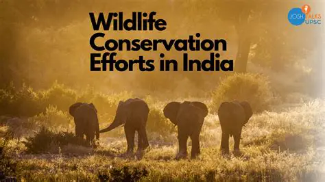 Conservation Efforts for Kodi