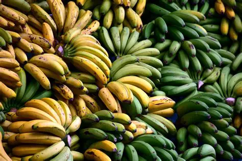 Conservation of local banana varieties