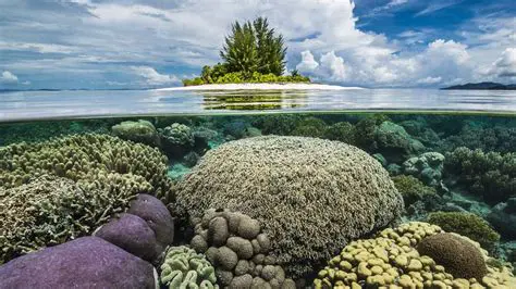 Conservation of marine biodiversity