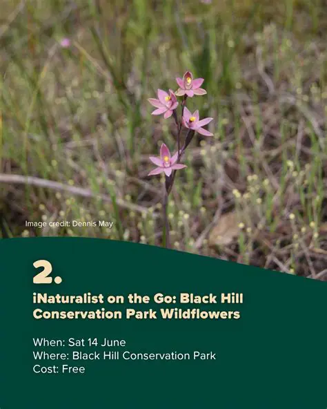 Conservation of Wildflowers