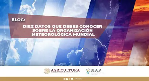 Consultar um site de meteorologia