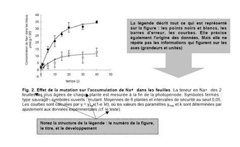 Contexte et signification du titre