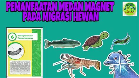 Contoh Ikan yang Memanfaatkan Medan Magnet Bumi dalam Migrasi