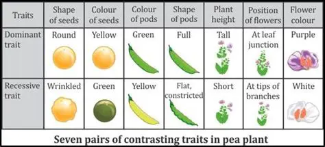 Contrasting Characteristics