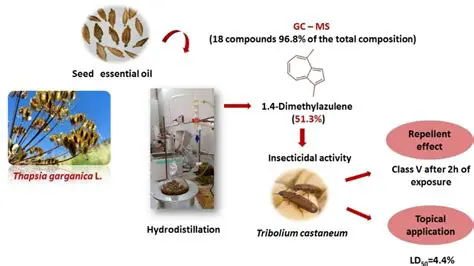 Control of Sytophilus Oryzae and Tribolium Castaneum with Seed Powder as a Botanical Insecticide