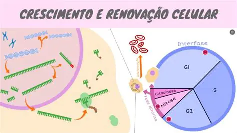 Controlar o Crescimento Celular