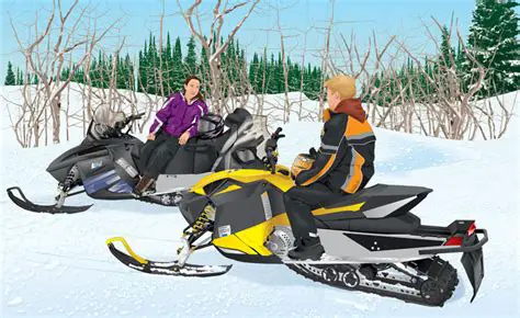 Controlling Your Snowmobile