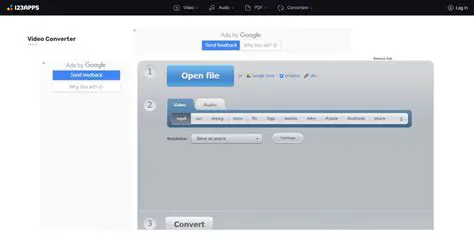 Conversion Presets and Options