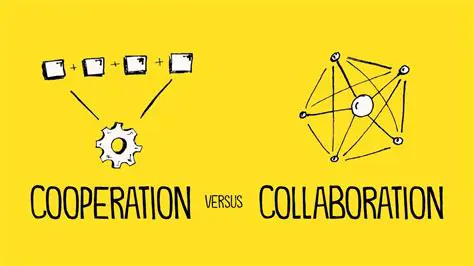 Cooperation and Collaboration