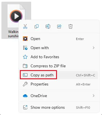 Copy File Path of Different Format into Clipboard