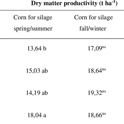 Corn Productivity and its Factors