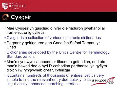 Correcting Language Errors with Cysill