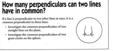 Counting Common Perpendiculars